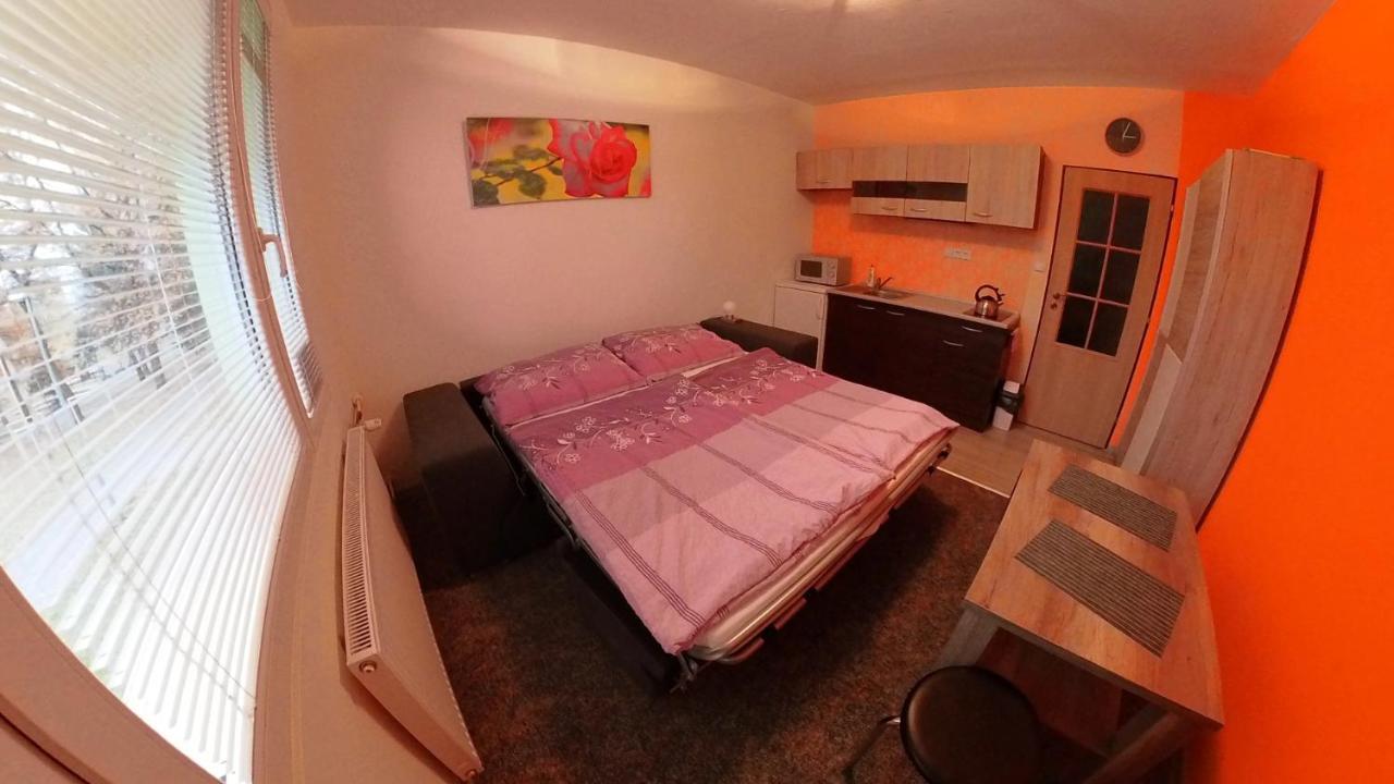 Апартаменты Garsonka Hlinik Тршебонь Экстерьер фото